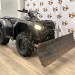 2019 Honda RUBICON TRX500FA P0645