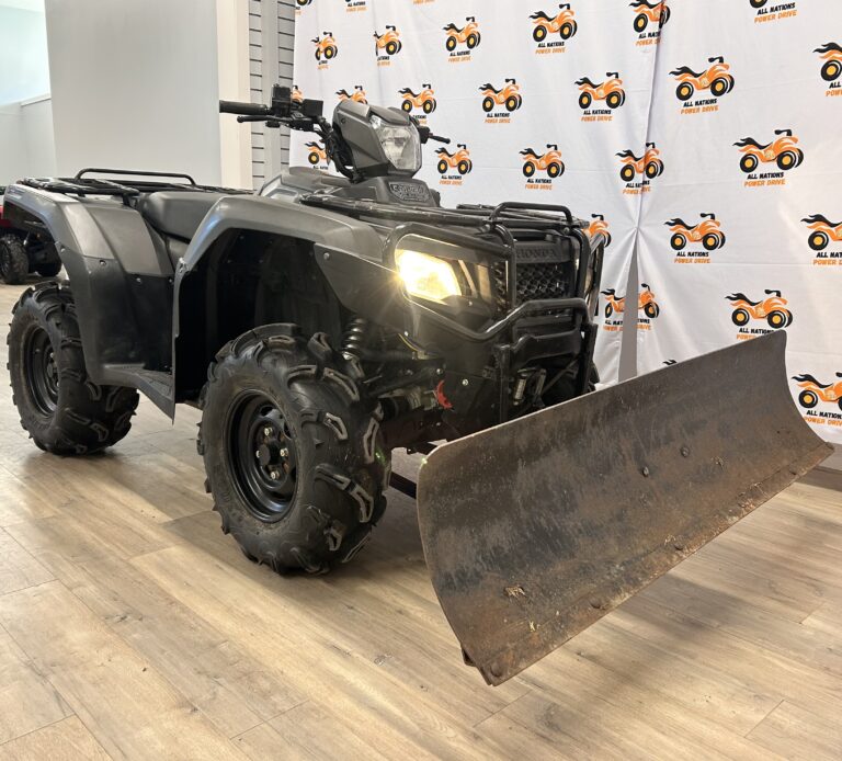 2019 Honda RUBICON TRX500FA P0645