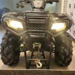 2019 Honda RUBICON TRX500FA P0645