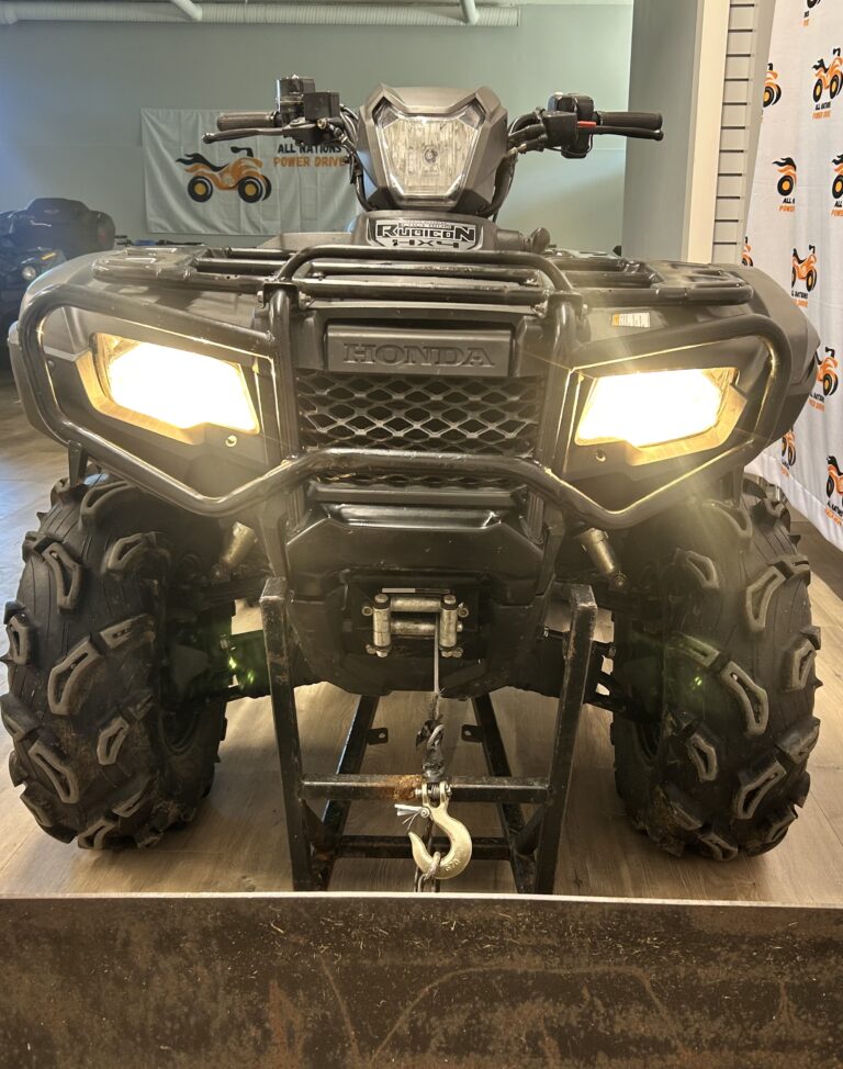 2019 Honda RUBICON TRX500FA P0645